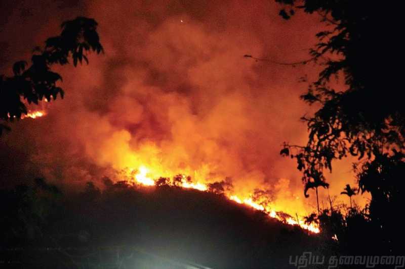 அமெரிக்காவில் காட்டுத்தீ