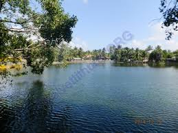 ஆரியகுளம் பகுதியில் ஆண் ஒருவரின் சடலம் கண்டெடுக்கப்பட்டுள்ளது