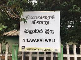 யாழ் நிலாவரைகிணறு அருகாமையில் தொல்பொருள் திணைக்கள அதிகாரிகளால் அகழ்வுப் பணி