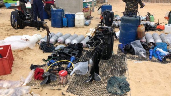 அனுமதிப்பத்திரமின்றி கடலட்டை தொழிலில் ஈடுபட்ட 29 மீனவர்கள் கைது