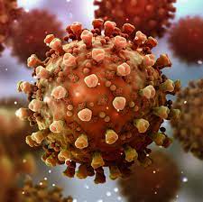 புதிதாக அடையாளங் காணப்பட்ட வைரஸ்