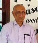 வல்வை நகரசபையால் முன்னெடுக்கப்பட்டுள்ள தீருவில் தூபி வீதியில் ஆரம்பித்துள்ள மாபெரும் மரம் நடுகை!