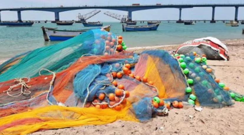வடக்கில் சட்டவிரோத மீன் பிடியை உடனடியாக தடுத்து நிறுத்துங்கள்!சபா குகதாஸ்.