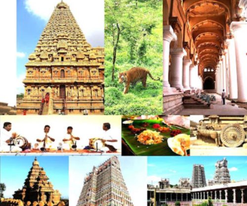 வெளிநாட்டினர் சுற்றுலா விசாவில் இந்தியா செல்லலாம்