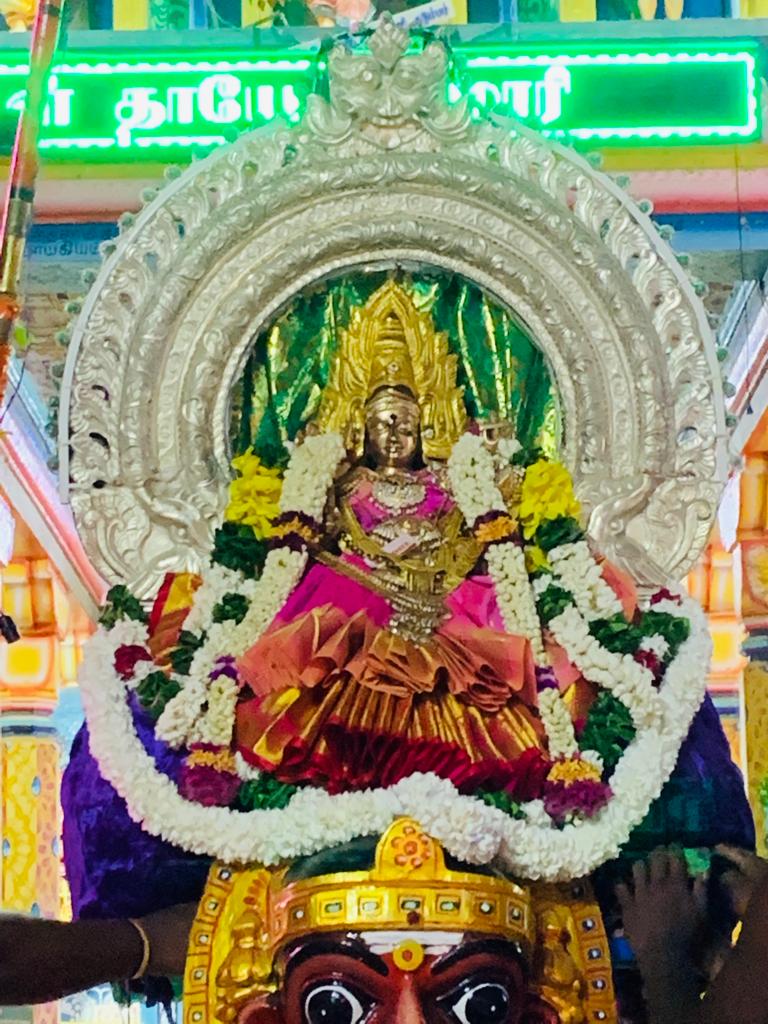 14ம் நாள் இரவுத்திருவிழா – வல்வை ஶ்ரீ முத்துமாரி அம்மன் கோவில்