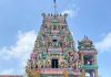 வல்வை தீருவில் புட்டணி சித்திவிநாயகர் கோவில் 4ம் நாள் பகல்த் திருவிழா 18/02/2024