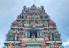 வல்வை வைத்தீஸ்வர சுவாமி 12ம் நாள் பகல்த் திருவிழா 21.03.2024