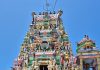வல்வை தீருவில் புட்டணி சித்திவிநாயகர் கோவில் பூங்காவனத் திருவிழா 14/03/2025