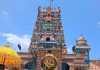 வல்வை சிவன் கோவில் கொடியேற்றத் திருவிழா 17/03/2026