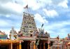 கொடியேற்றத் திருவிழா 17/04/2026 -வல்வை முத்துமாரி அம்மன் ஆலயம்