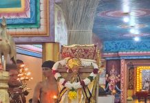 வல்வை தீருவில் வயலூர் முருகன் ஆலய 10ம் நாள் கொடி இறக்குதல் 14•07•2026