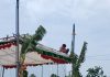 வல்வை தீருவில் வயலூர் முருகன் ஆலய பூங்காவன பகல்த் திருவிழா
